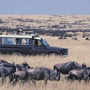 Explore CLASSIC JOURNESY KIFARU SAFARI for 6 days with Classic Journeys Africa Ltd and discover unforgettable experiences - Photo 6