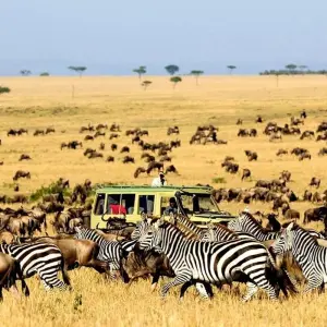 Explore 6 DAYS AFFORDABLE CLASSIC KENYA SAFARI for 6 days with Classic Journeys Africa Ltd and discover unforgettable experiences - Photo 5
