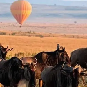 Explore Affordable Classic Highlights of Kenya and Beach 2025 for 11 days with Classic Journeys Africa Ltd and discover unforgettable experiences - Photo 3