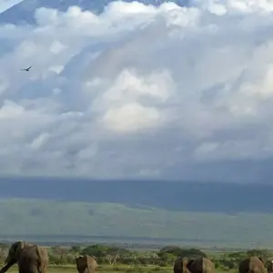 Explore 6 DAYS AFFORDABLE CLASSIC KENYA SAFARI for 6 days with Classic Journeys Africa Ltd and discover unforgettable experiences - Photo 6