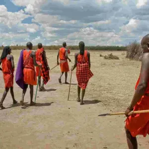 Explore Classic Migration Safari Kenya and Tanzania 2024 for 9 days with Classic Journeys Africa Ltd and discover unforgettable experiences - Photo 2