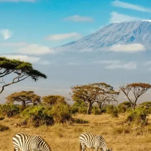 Explore 6 Days Affordable Classic Kenya Private Safari Amboseli, Naivasha & Mara for 6 days with Classic Journeys Africa Ltd and discover unforgettable experiences - Photo 2