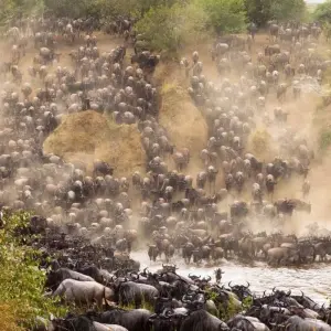 Explore Classic Migration Safari Kenya and Tanzania 2024 for 9 days with Classic Journeys Africa Ltd and discover unforgettable experiences - Photo 3