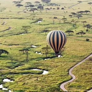 Explore 8 Days Classic Best of  Northern Tanzania for 8 days with Classic Journeys Africa Ltd and discover unforgettable experiences - Photo 5