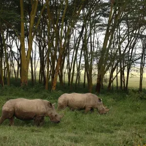 Explore 8 Days Classic Highlights of Kenya for 8 days with Classic Journeys Africa Ltd and discover unforgettable experiences - Photo 11