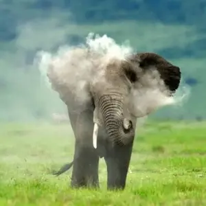 Explore Classic Migration Safari Kenya and Tanzania 2024 for 9 days with Classic Journeys Africa Ltd and discover unforgettable experiences - Photo 7