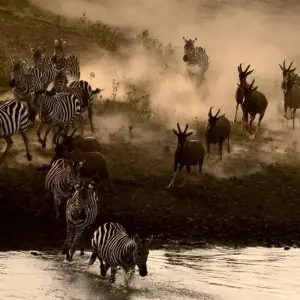 Explore Classic Luxury & Thrilling Kenya, Tanzania and Zanzibar for 13 days with Classic Journeys Africa Ltd and discover unforgettable experiences - Photo 4