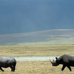 Explore Classic Kenya and Tanzania Series for 13 days with Classic Journeys Africa Ltd and discover unforgettable experiences - Photo 10