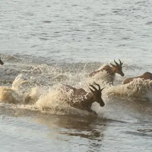 Explore Classic Heart of Kenya and Tanzania Safari for 10 days with Classic Journeys Africa Ltd and discover unforgettable experiences - Photo 9