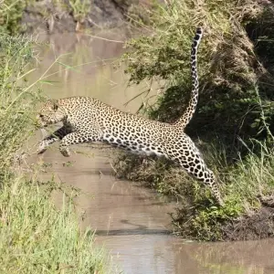 Explore Classic Luxury & Thrilling Kenya, Tanzania and Zanzibar for 13 days with Classic Journeys Africa Ltd and discover unforgettable experiences - Photo 6