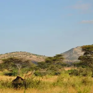 Explore 6 Days Migration Safari for 6 days with Click Expeditions and discover unforgettable experiences - Photo 3