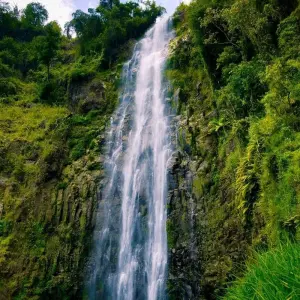 Explore Kilimanjaro Hiking Via Umbwe Route & Materuni Day Tour for 9 days with Click Expeditions and discover unforgettable experiences - Photo 3