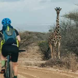 Explore West Kilimanjaro MTB Tour for 3 days with Click Expeditions and discover unforgettable experiences - Photo 4