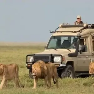 Explore 15 Days Climbing Marangu Routes, Wilderness Safari, Coffee & Cultural Tour for 15 days with Click Expeditions and discover unforgettable experiences - Photo 9