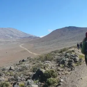 Explore Kilimanjaro Climbing Via Lemosho Route 10 Days (all accommodation and transport are included) for 10 days with Click Expeditions and discover unforgettable experiences - Photo 3
