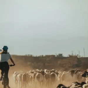 Explore West Kilimanjaro MTB Tour for 3 days with Click Expeditions and discover unforgettable experiences - Photo 5