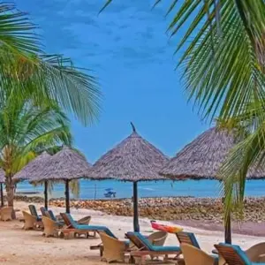 Explore Pemba Island - Beach Holidays for 6 days with Click Expeditions and discover unforgettable experiences - Photo 2