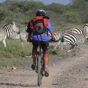 Explore Mountain Biking Mount Kilimanjaro 8 days (all Accommodation & Transport are included) for 8 days with Click Expeditions and discover unforgettable experiences - Photo 2