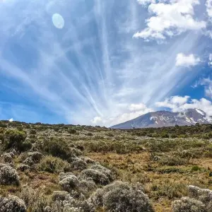 Explore Group Joining Mount Kilimanjaro Climbing through Lemosho Route 10 Days Tanzania for 10 days with Click Expeditions and discover unforgettable experiences - Photo 3
