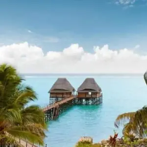 Explore Pemba Island - Beach Holidays for 6 days with Click Expeditions and discover unforgettable experiences - Photo 3