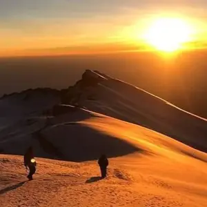 Explore Kilimanjaro Climbing Via Lemosho Route 10 Days (all accommodation and transport are included) for 10 days with Click Expeditions and discover unforgettable experiences - Photo 5