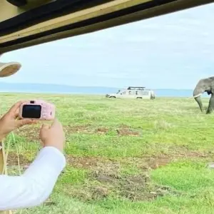 Explore Five Days Fly In, Fly Out to Tanzania Prime Northern Circuit from Zanzibar for 5 days with Click Expeditions and discover unforgettable experiences - Photo 2
