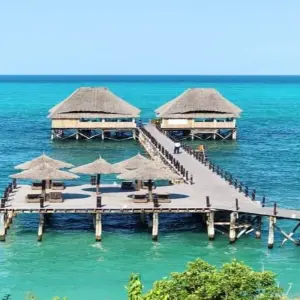 Explore Pemba Island - Beach Holidays for 6 days with Click Expeditions and discover unforgettable experiences - Photo 4