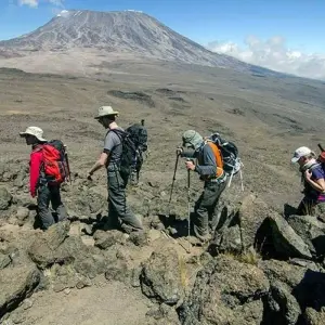 Explore Mount Kilimanjaro climbing via Marangu Route 8 days Tanzania (all accommodation and transport are included) for 8 days with Click Expeditions and discover unforgettable experiences - Photo 6