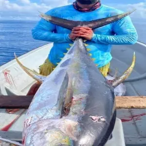 Explore 4 Days - Zanzibar Safari and Beach Holiday for 4 days with Click Expeditions and discover unforgettable experiences - Photo 2