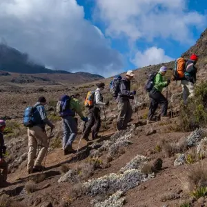 Explore Mount Kilimanjaro Climbing Group Joining Via Machame Route 9 Days Tanzania (all accommodation and transport are included) for 9 days with Click Expeditions and discover unforgettable experiences - Photo 6