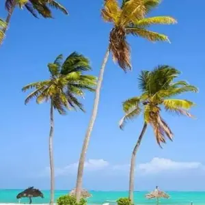 Explore Pemba Island - Beach Holidays for 6 days with Click Expeditions and discover unforgettable experiences - Photo 5