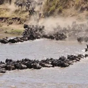 Explore 15 Days Kenya & Tanzania Combo Safari for 15 days with Click Expeditions and discover unforgettable experiences - Photo 3