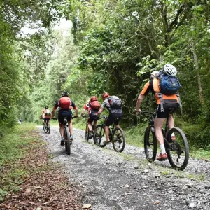 Explore Mountain Biking Mount Kilimanjaro 8 days (all Accommodation & Transport are included) for 8 days with Click Expeditions and discover unforgettable experiences - Photo 5