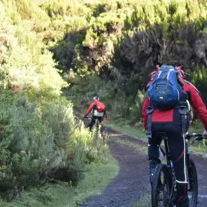 Explore Mountain Biking Mount Kilimanjaro 8 days (all Accommodation & Transport are included) for 8 days with Click Expeditions and discover unforgettable experiences - Photo 6