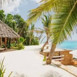 Explore 4 Days - Zanzibar Safari and Beach Holiday for 4 days with Click Expeditions and discover unforgettable experiences - Photo 9