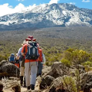 Explore 8 days Mount kilimanjaro climbing through marangu route.(all Accommodation & Transport are included) for 8 days with Click Expeditions and discover unforgettable experiences - Photo 2