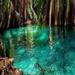 Explore 7 Days Zanzibar Beach Holiday for 7 days with Click Expeditions and discover unforgettable experiences - Photo 8