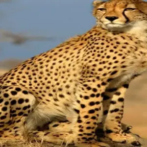 Explore Kenya-7 days featuring classic safari for 7 days with Click Expeditions and discover unforgettable experiences - Photo 8