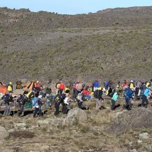 Explore Mount kilimanjaro climbing through rongai route 8 days (all accommodation and transport are included) for 8 days with Click Expeditions and discover unforgettable experiences - Photo 4