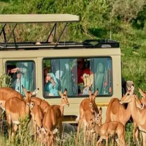 Explore 4 days wonder of tanzania safari for 4 days with Click Expeditions and discover unforgettable experiences - Photo 10
