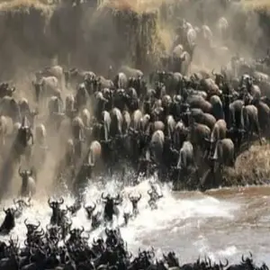 Explore 4 -Days Maasai Mara Camping Safari for 4 days with Click Expeditions and discover unforgettable experiences - Photo 8