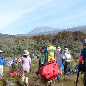 Explore 8 days Mount kilimanjaro climbing through marangu route.(all Accommodation & Transport are included) for 8 days with Click Expeditions and discover unforgettable experiences - Photo 8