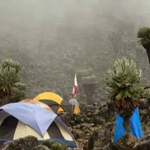 Explore Mount kilimanjaro climbing through rongai route 8 days (all accommodation and transport are included) for 8 days with Click Expeditions and discover unforgettable experiences - Photo 11