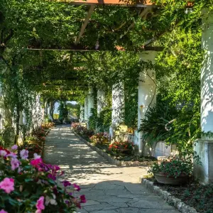 Explore Highlights of Capri, Pompeii & Amalfi Coast - 5 Days for 5 days with Click Tours and discover unforgettable experiences - Photo 6