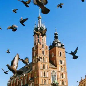 Explore Highlights of Poland and Baltic - 13 Days for 13 days with Click Tours and discover unforgettable experiences - Photo 7