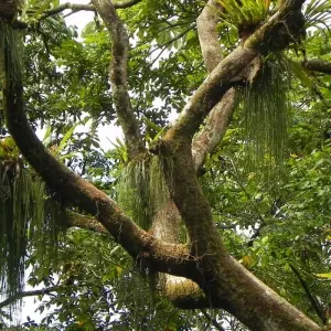 Explore Costa Rica for Nature Explorers for 15 days with Colibri Travel and discover unforgettable experiences - Photo 3