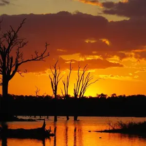 Explore Zambia's Most Beautiful Parks for 9 days with Colibri Travel and discover unforgettable experiences - Photo 6