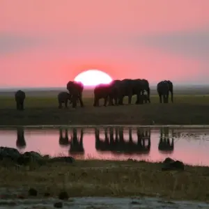 Explore Zambia's Most Beautiful Parks for 9 days with Colibri Travel and discover unforgettable experiences - Photo 7