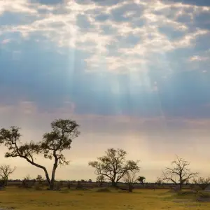 Explore Leopard Safari - 17 days for 17 days with Colibri Travel and discover unforgettable experiences - Photo 3