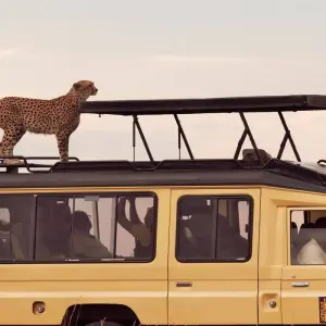 Explore Masai Mara Safari for 4 days with Colibri Travel and discover unforgettable experiences - Photo 5